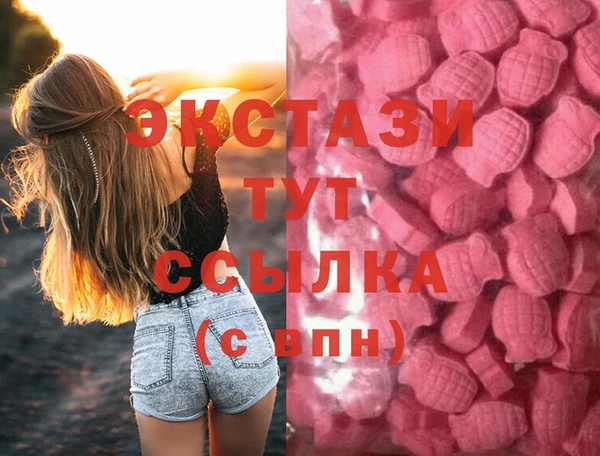 спиды Губаха