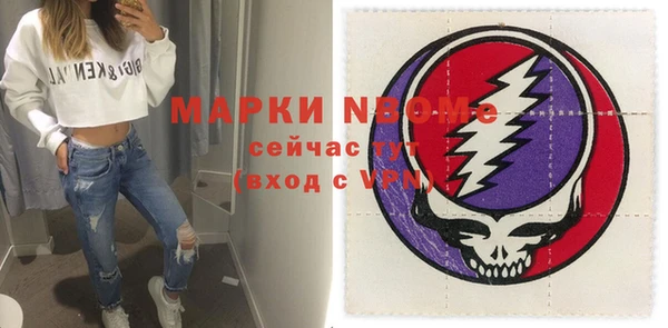 индика Алексин