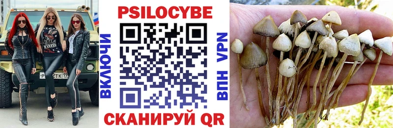 Псилоцибиновые грибы мицелий  Боготол 